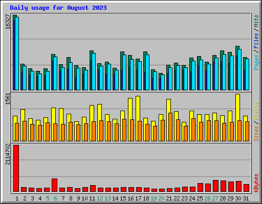 Daily usage for August 2023