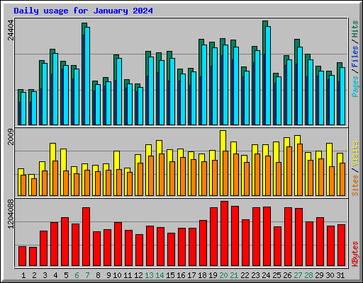 Daily usage for January 2024