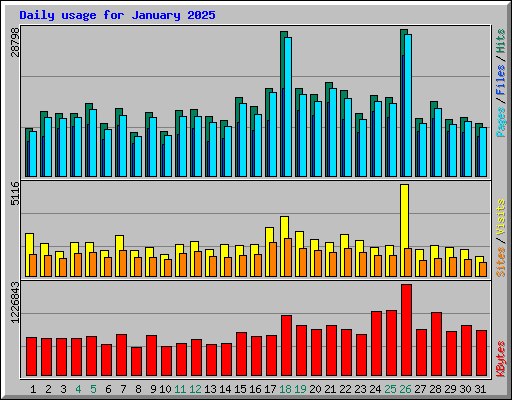 Daily usage for January 2025