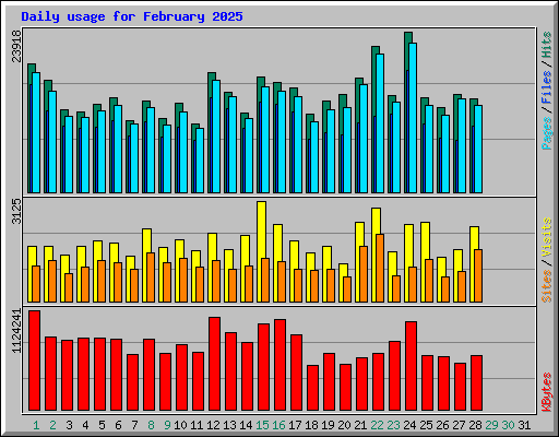 Daily usage for February 2025