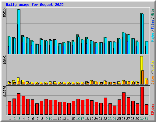 Daily usage for August 2025
