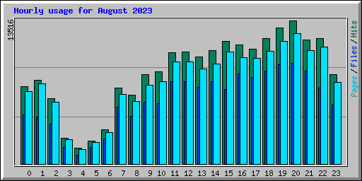 Hourly usage for August 2023