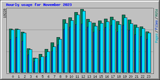Hourly usage for November 2023