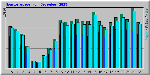 Hourly usage for December 2023