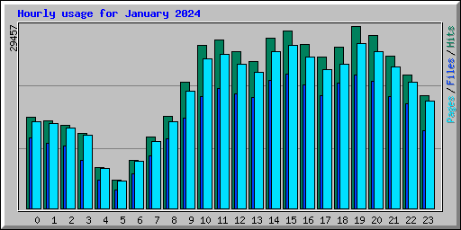 Hourly usage for January 2024