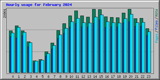Hourly usage for February 2024