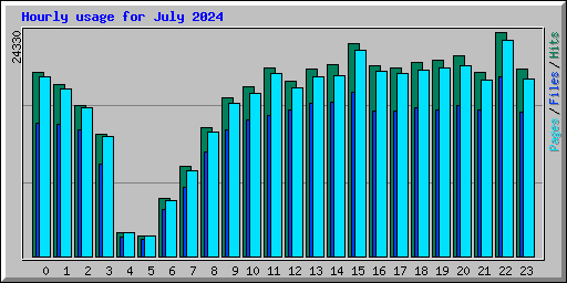 Hourly usage for July 2024