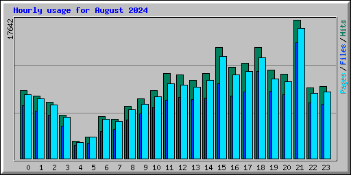 Hourly usage for August 2024