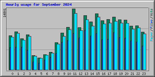 Hourly usage for September 2024