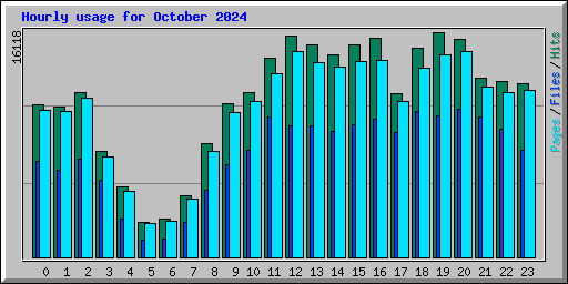 Hourly usage for October 2024