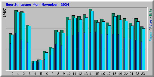 Hourly usage for November 2024