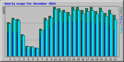 Hourly usage for December 2024