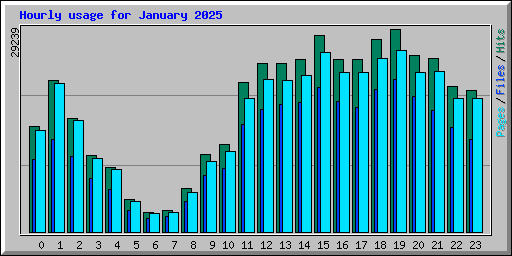 Hourly usage for January 2025