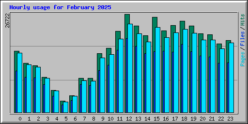 Hourly usage for February 2025