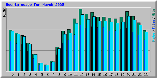 Hourly usage for March 2025