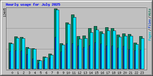 Hourly usage for July 2025