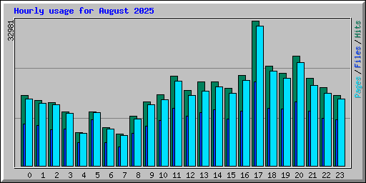 Hourly usage for August 2025