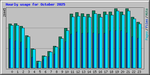 Hourly usage for October 2025