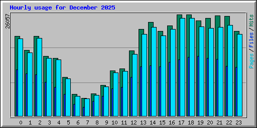 Hourly usage for December 2025