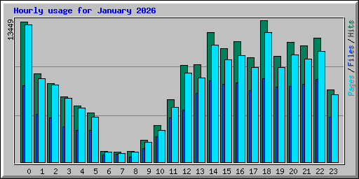 Hourly usage for January 2026