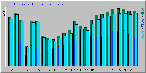 Hourly usage for February 2026